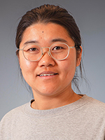 Huanying Niu